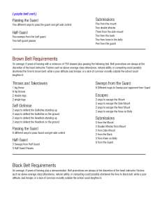 belt_requirements_Page_2
